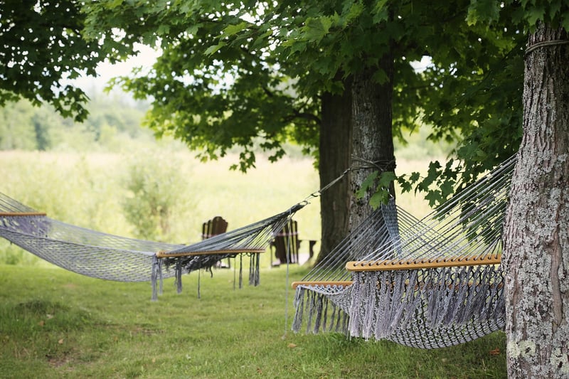 Hammock Lounging